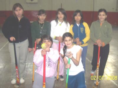 20080703213217-nenas-hockey.jpg