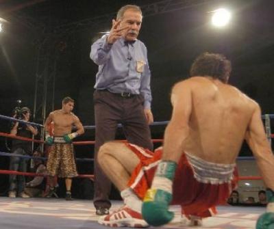 20080819193841-tigre1-al-piso.jpg